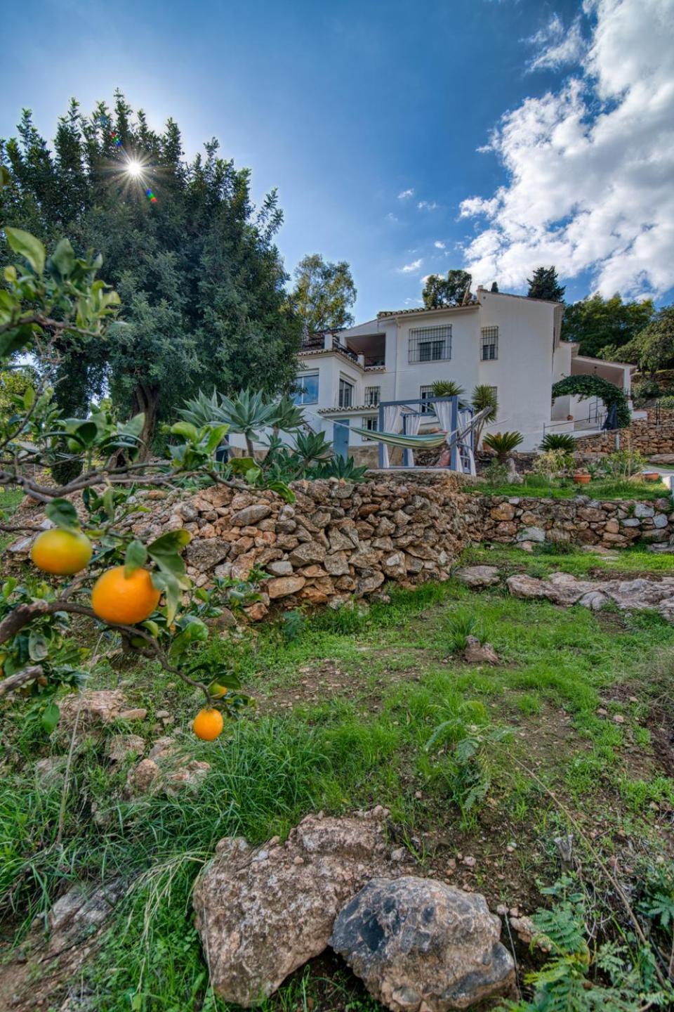 Villa Morera Bed & Breakfast フリヒリアナ エクステリア 写真